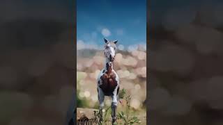 RDO • Sorrel Overo Criollo Horse • Red Dead Redemption 2 [upl. by Leunamnauj654]