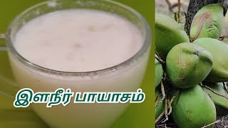 Elaneer payasam recipe in tamil  Elaneer payasam recipe without milkmaid  Healthy summer drink [upl. by Helbonia]