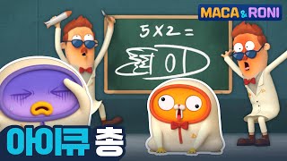 본편 아이큐 총  마카앤로니 Maca and Roni  재밌고 귀여운 힐링 애니메이션 [upl. by Alvy577]