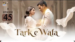 Tark e Wafa Episode 45  19th August 2024  English Subtitles  ARY Digital Darama Astore Tv Review [upl. by Eilyab644]