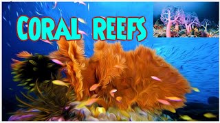 Coral Reefs [upl. by Rimat]