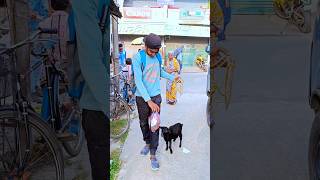 ছাগলকে নিয়ে সারাদিন ঘুরলাম বালুরঘাটে 🐐 minivlog vlog [upl. by Ahsirek]