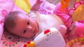 Tasha Luna Baby Einstein Take Along Tunes music toy [upl. by Yarased641]