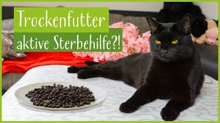 quotTrockenfutter ist aktive Sterbehilfe für Katzenquot  Stimmts [upl. by Ruffin]