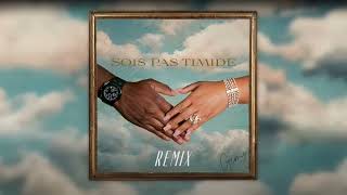 GIMS  Sois pas timide Remix [upl. by Ness391]