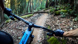 The BEST mountain bike ride in Northern California  The Flow Trail  Soquel Demo Forest [upl. by Myrtie]