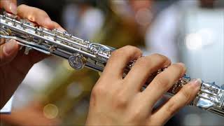 Happy Flute Ringtone  Ringtones for Android  Instrumental Ringtones [upl. by Ayimat]