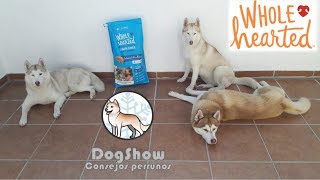 Wholehearted croquetas para perro [upl. by Ssecnirp835]