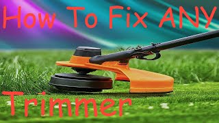 How To Rebuild ECHO String Trimmer  Starts Then Dies  ECHO GT225 [upl. by Ivz123]