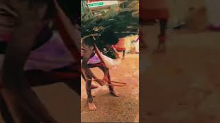 കാവടി kavadi dance kavadisongs kavadiyattam shashti [upl. by Aleece]