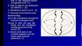 Matric Revision Life Sciences Meiosis 819 phases of meiosis 55 past examination questions [upl. by Anitsenre]