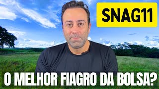 SNAG11  FIAGRO caindo VALE a PENA Investir [upl. by Idnic796]