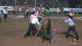 23º Rodeio Internacional do Conesul  Gineteada 1ª classificatória [upl. by Donoghue174]