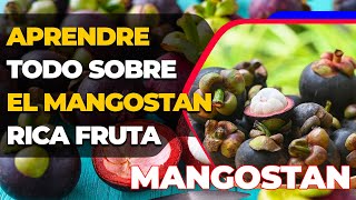 ¡Conozca todos los beneficios del mangostán¦ Todo Sobre las mangostán  Salud 2024 [upl. by Annabel787]