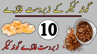 Kekar Ki Gond  Keekar Ki Gond Ke Fayde  Kikar Ki Gond Ke Fayde In Urdu  Benefits Of Acacia Gum [upl. by Pich931]