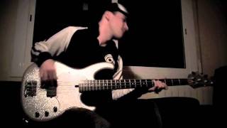 RATM  Take the Power Back Bass Cover by Miki Santamaria Modulus Flea Bass Funk Unlimited [upl. by Frans71]