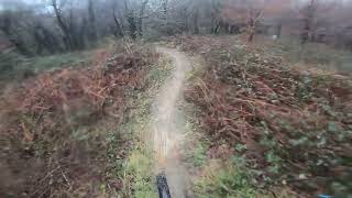 MV Bike Park Caerphilly  A Lap of the Red Trail [upl. by Tallia397]