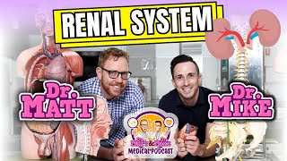 Renal System  Overview [upl. by Shaffert]