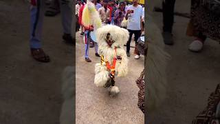 Anand Dhumal Tiger dance Mahoram trending viral cg dj Shorts chhatisgarh djdhumal dhumal [upl. by Germin]