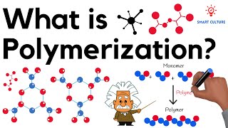 What is Polymerization [upl. by Klusek477]