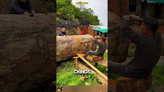 ¡IMPRESIONANTE TRANSFORMACIÓN De un árbol gigante a un lujo tallado en madera [upl. by Tail362]