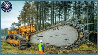 199 Incredible Fastest Big Chainsaw Cutting Tree Machines ▶9 [upl. by Griffis]