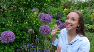 How to Plant Allium Bulbs  Best Allium Varieties for Your Garden  Northlawn Flower Farm [upl. by Sonnnie]