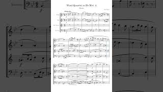 The first page of my wind quartets finale windquartet classicalmusic woodwind quartet [upl. by Saduj958]