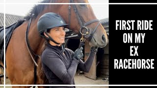 Retraining a Racehorse  First Ride  Why my Horses are Barefoot [upl. by Sauers6]