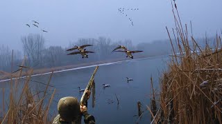 Late Season Goose Hunting on Public Land Limit 3 Geese 1 SHOT [upl. by Bor]