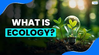 What is Ecology  Letstute [upl. by Ahser855]