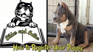 How to REGISTER your AMERICAN BULLY with ABKC Dog toys living area and playtime [upl. by Worthy87]