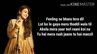 FEELINGS LYRICS Song  Vatsala  Feeling Se Bhara Tera Dil  Female Version  Full Lyrical Song [upl. by Aneleairam]