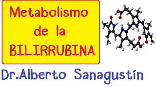 METABOLISMO DE LA BILIRRUBINA Fisiología [upl. by Ricketts]