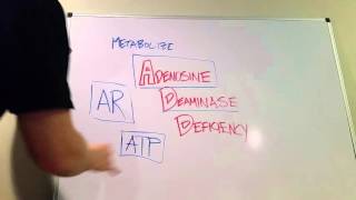 Adenosine Deaminase Deficiency Type of SCID [upl. by Wolfson]