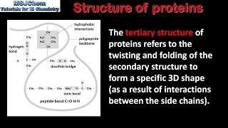 B2 Structure of proteins SL [upl. by Anilrahc969]