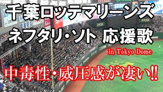 【現地音源・歌詞付き】ネフタリ・ソト 応援歌 千葉ロッテマリーンズ in Tokyo Dome [upl. by Archibaldo]