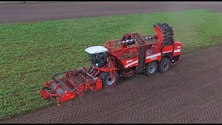 Suikerbieten rooien  NEW Grimme Rexor 630  Harvesting Sugarbeet  Hubers Overloon [upl. by Ainaj574]