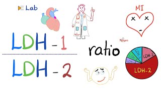 LDH1 to LDH2 Ratio and the flipped LDH  Lactate Dehydrogenase and Heart Attacks ❤️‍🩹 [upl. by Seidnac]