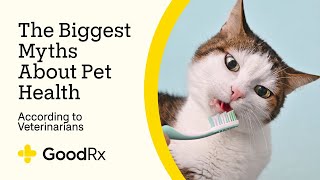 6 Big Myths About Pet Health According to Veterinarians  GoodRx [upl. by Comethuauc]