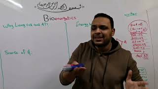 1 Bioenergetics part 1 [upl. by Hearsh]