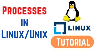 Processes in LinuxUnix [upl. by Aeriel631]