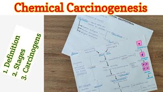 Chemical Carcinogenesis  Carcinogenesis  Neoplasia [upl. by Phemia]