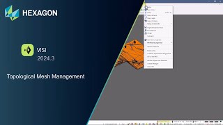Topological Mesh Management in VISI 20243 [upl. by Rossi]
