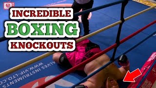 Incredible Boxing Knockouts  9 Minutes of KOs [upl. by Arabeila245]