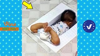 Funny amp Hilarious Video Peoples Happy Life 30 😂 Try Not To Laugh Funny Videos 2024 [upl. by Katherina]