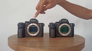 Sony A7III VS Sony A7II  Continuous Shooting [upl. by Libove246]