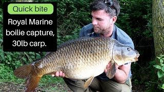 Baitworks boilie carp capture [upl. by Bencion]