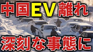 極寒の中国でEVから乗り換え続出！トヨタ車の性能がおかしい…大寒波で大量のEVがダウン！シェア爆増の日本車がとんでもないことに！日本に上陸するも全く売れないBYDの状況【海外の反応】 [upl. by Remy295]