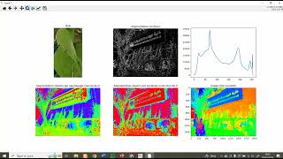 Image Segmentation Seuillage Quantification multiseuillage dOtsu KMeans avec démo sous python [upl. by Notniv]